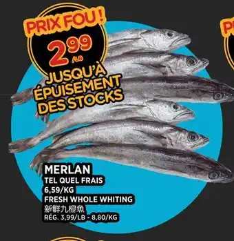 Kim Phat FRESH WHOLE WHITING offer