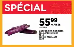 Kim Phat CHINESE EGGPLANTS offer
