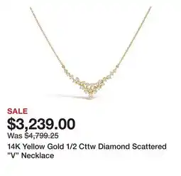 TSC Stores 14K Yellow Gold 1/2 Cttw Diamond Scattered V Necklace offer