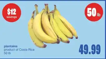 Wholesale Club PLANTAINS, 50 lb offer