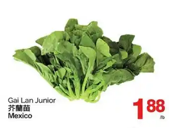 T&T Supermarket GAI LAN JUNIOR offer