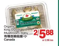 T&T Supermarket ORGANIC KING OYSTER MUSHROOM-BABY offer