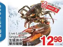 T&T Supermarket LIVE LOBSTER SINGLE CLAW offer
