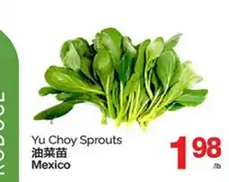 T&T Supermarket YU CHOY SPROUTS offer