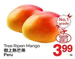 T&T Supermarket TREE RIPEN MANGO offer