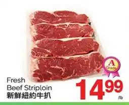 T&T Supermarket FRESH BEEF STRIPLOIN offer