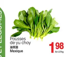 T&T Supermarket POUSSES DE YU CHOY, 4.37/KG offer