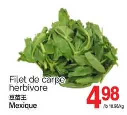 T&T Supermarket FILET DE CARPE HERBIVORE offer