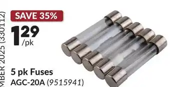 Princess Auto 5 pk Fuses offer