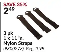 Princess Auto 3 pk 1 x 11 in. Nylon Straps offer