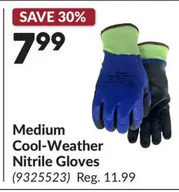 Princess Auto Medium Cool-Weather Nitrile Gloves offer
