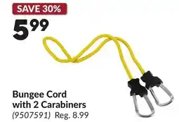 Princess Auto Bungee Cord with 2 Carabiners offer