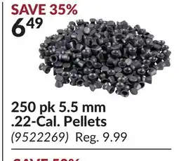 Princess Auto 250 pk 5.5 mm .22-Cal. Pellets offer
