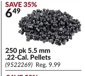 Princess Auto 250 pk 5.5 mm .22-Cal. Pellets offer