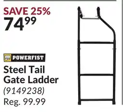 Princess Auto Steel Tail Gate Ladder offer