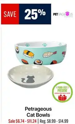 Ren’s Pets Depot Petrageous Cat Bowls offer