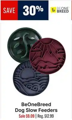Ren’s Pets Depot BeOneBreed Dog Slow Feeders offer