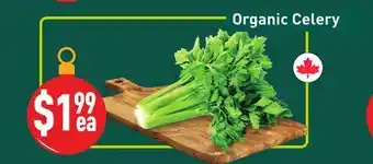 Healthy Planet Organic Celery offer