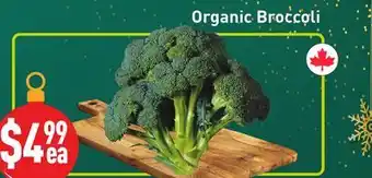 Healthy Planet Organic Broccoli offer