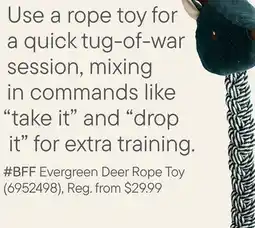 Petvalu BFF Evergreen Deer Rope Toy offer