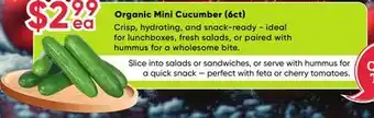 Healthy Planet Organic Mini Cucumber (6ct) offer