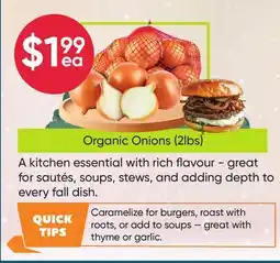 Healthy Planet Organic Onions offer