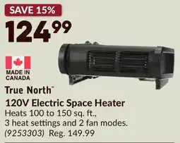 Princess Auto 120V Electric Space Heater offer