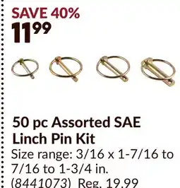 Princess Auto 50 pc Assorted SAE Linch Pin Kit offer