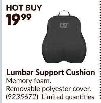 Princess Auto Lumbar Support Cushion offer