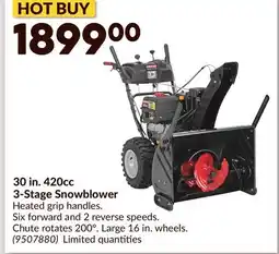Princess Auto 30 in. 420cc 3-Stage Snowblower offer