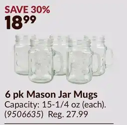Princess Auto 6 pk Mason Jar Mugs offer