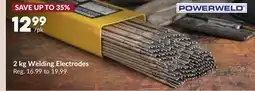 Princess Auto 2 kg Welding Electrodes offer