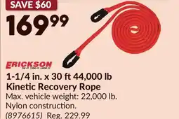 Princess Auto 1-1/4 in. x 30 ft44,000 lb Kinetic Recovery Rope offer