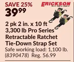 Princess Auto ERICKSON 2 pk 2 in. x 10 3,300 lb Pro Series Retractable Ratchet Tie-Down Strap Set offer