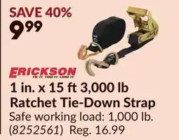Princess Auto 1 in. x 15 ft3,000 lb Ratchet Tie-Down Strap offer