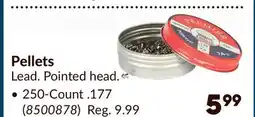 Princess Auto CROSMAN Pellets Lead. Pointed head offer