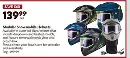 Princess Auto Modular Snowmobile Helmets offer