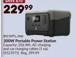 Princess Auto 300W Portable Power Station offer