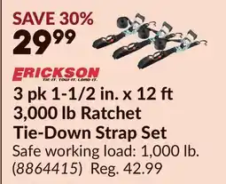 Princess Auto ERICKSON 3 pk 1-1/2 in. x 12 3,000 lb Ratchet Tie-Down Strap Set offer