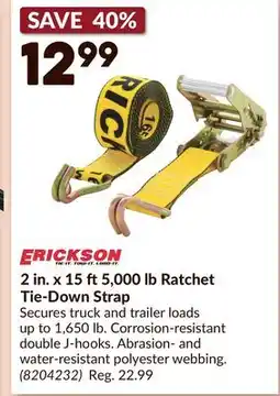 Princess Auto 2 in. x 15 ft5,000 lb Ratchet Tie-Down Strap offer