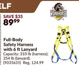 Princess Auto Full-Body Safety Harness with 6 ftLanyard offer