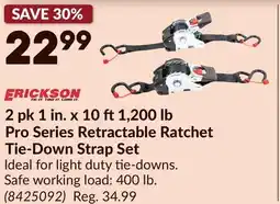 Princess Auto 2 pk 1 in. x 10 ft1,200 lb Pro Series Retractable Ratchet Tie-Down Strap Set offer