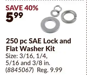 Princess Auto 250 pc SAE Lock and Flat Washer Kit offer