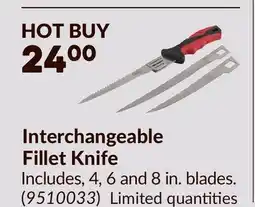Princess Auto Interchangeable Fillet Knife offer