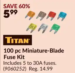 Princess Auto 100 pc Miniature-Blade Fuse Kit offer
