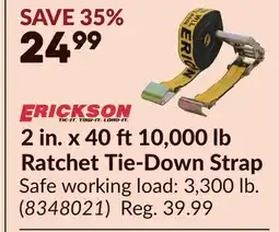 Princess Auto 2 in. x 40 ft10,000 lb Ratchet Tie-Down Strap offer
