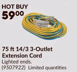 Princess Auto 75 ft14/3 3-Outlet Extension Cord offer