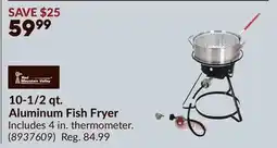 Princess Auto 10-1/2 qt. Aluminum Fish Fryer offer