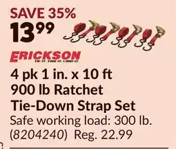 Princess Auto 4 pk 1 in. x 10 900 lb Ratchet Tie-Down Strap Set offer