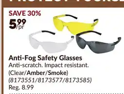 Princess Auto Anti-Fog Safety Glasses offer